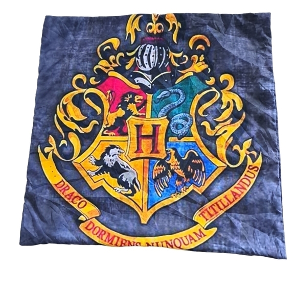 HARRY POTTER DRACO screenprint nylon cushion cover 17x17" academia Zip open - Picture 2 of 3